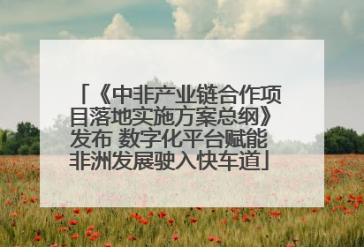 《中非产业链合作项目落地实施方案总纲》发布 数字化平台赋能非洲发展驶入快车道