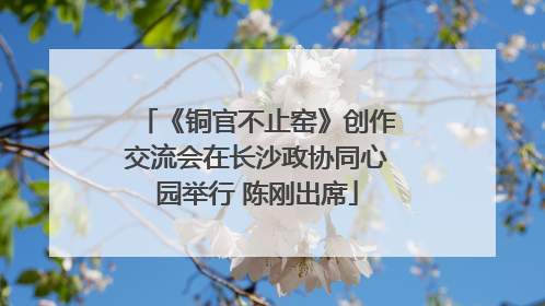 《铜官不止窑》创作交流会在长沙政协同心园举行 陈刚出席