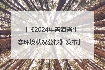 《2024年青海省生态环境状况公报》发布