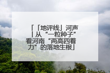「地评线」河声丨从“一粒种子”看河南“两高四着力”的落地生根