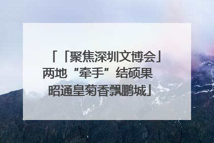 「聚焦深圳文博会」两地“牵手”结硕果 昭通皇菊香飘鹏城