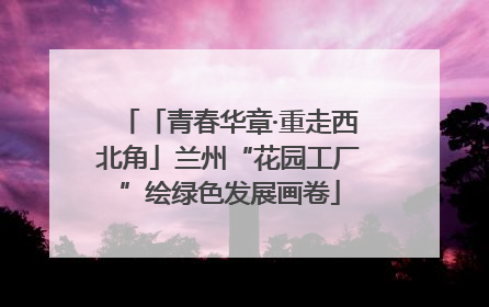 「青春华章·重走西北角」兰州“花园工厂”绘绿色发展画卷