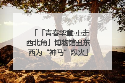「青春华章·重走西北角」博物馆丑东西为“神马”爆火