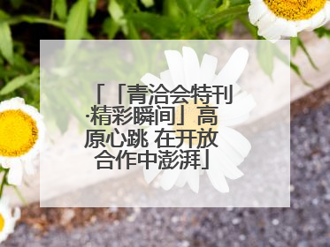 「青洽会特刊·精彩瞬间」高原心跳 在开放合作中澎湃