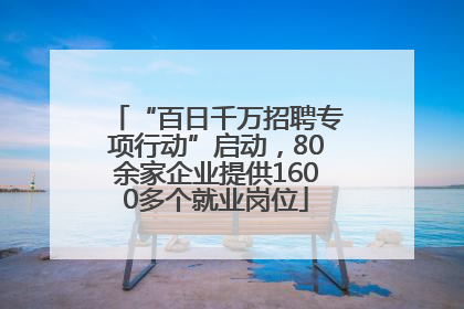 “百日千万招聘专项行动”启动，80余家企业提供1600多个就业岗位