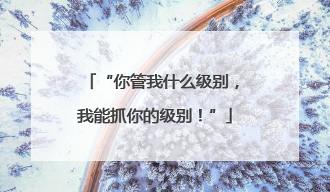 “你管我什么级别，我能抓你的级别！”