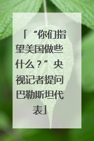 “你们指望美国做些什么？”央视记者提问巴勒斯坦代表
