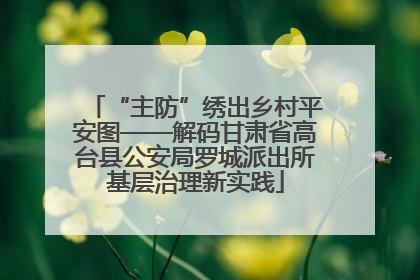 “主防”绣出乡村平安图——解码甘肃省高台县公安局罗城派出所基层治理新实践