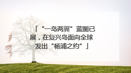 “一岛两翼”蓝图已展，在复兴岛面向全球发出“杨浦之约”
