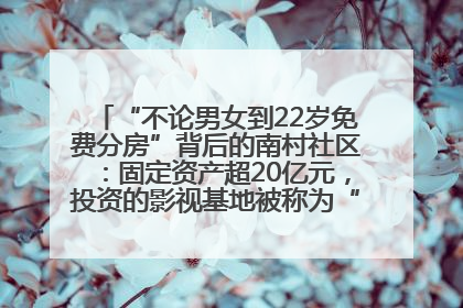 “不论男女到22岁免费分房”背后的南村社区：固定资产超20亿元，投资的影视基地被称为“山村好莱坞”