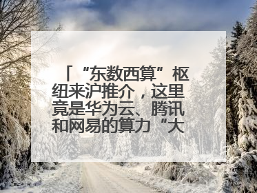 “东数西算”枢纽来沪推介，这里竟是华为云、腾讯和网易的算力“大本营”