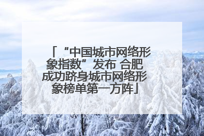 “中国城市网络形象指数”发布 合肥成功跻身城市网络形象榜单第一方阵