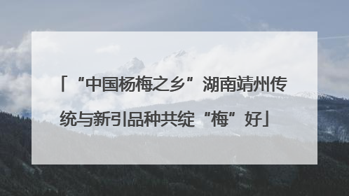 “中国杨梅之乡”湖南靖州传统与新引品种共绽“梅”好