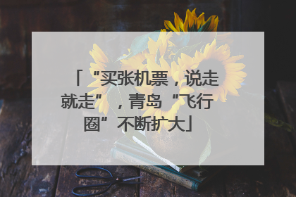 “买张机票，说走就走”，青岛“飞行圈”不断扩大
