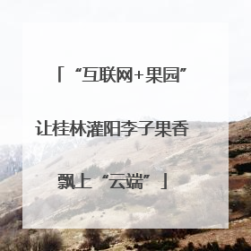 “互联网+果园”让桂林灌阳李子果香飘上“云端”