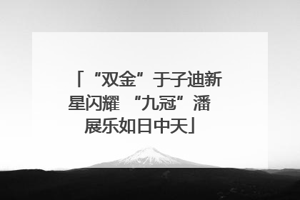 “双金”于子迪新星闪耀 “九冠”潘展乐如日中天