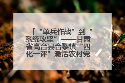 “单兵作战”到“系统攻坚”——甘肃省高台县合黎镇“四化一评”激活农村党员管理新引擎