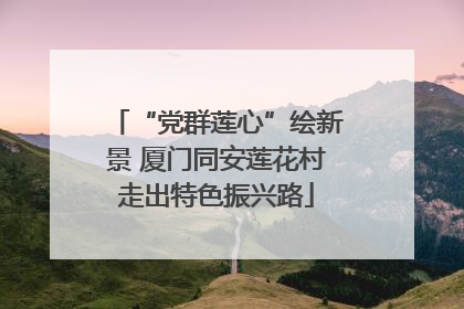 “党群莲心”绘新景 厦门同安莲花村走出特色振兴路