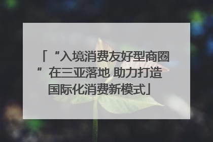 “入境消费友好型商圈”在三亚落地 助力打造国际化消费新模式