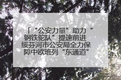 “公安力量”助力“钢铁驼队”提速前进 绥芬河市公安局全力保障中欧班列“东通道”绥芬河隧道贯通