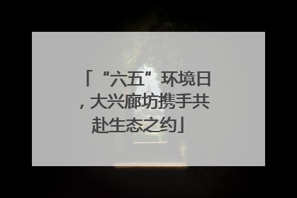 “六五”环境日，大兴廊坊携手共赴生态之约