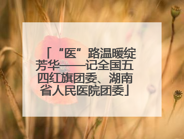 “医”路温暖绽芳华——记全国五四红旗团委、湖南省人民医院团委