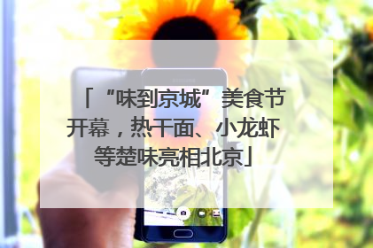 “味到京城”美食节开幕，热干面、小龙虾等楚味亮相北京