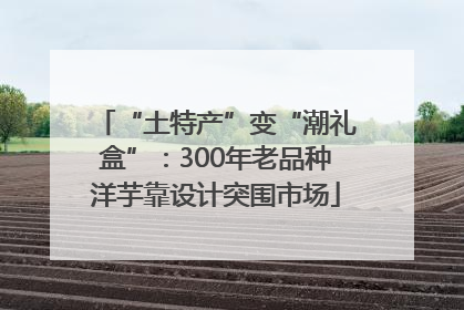 “土特产”变“潮礼盒”：300年老品种洋芋靠设计突围市场