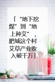 “地下挖煤”到“地上种艾”，肥城这个村艾草产业收入破千万
