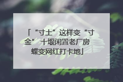 “寸土”这样变“寸金” 十堰闲置老厂房蝶变网红打卡地