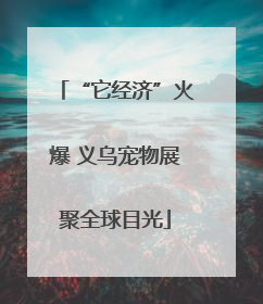 “它经济”火爆 义乌宠物展聚全球目光