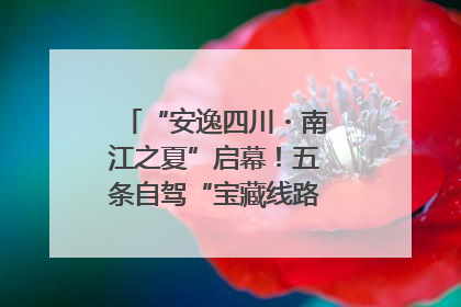 “安逸四川・南江之夏”启幕！五条自驾“宝藏线路”串联避暑胜地