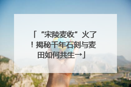“宋陵麦收”火了！揭秘千年石刻与麦田如何共生→