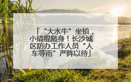 “大水牛”坐镇，小撬棍随身！长沙城区防办工作人员“人车等雨”严阵以待
