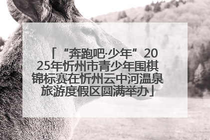 “奔跑吧·少年”2025年忻州市青少年围棋锦标赛在忻州云中河温泉旅游度假区圆满举办