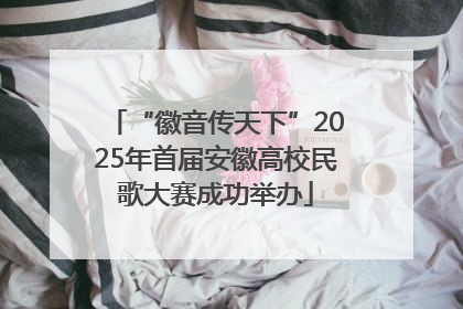 “徽音传天下”2025年首届安徽高校民歌大赛成功举办