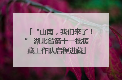 “山南，我们来了！” 湖北省第十一批援藏工作队启程进藏