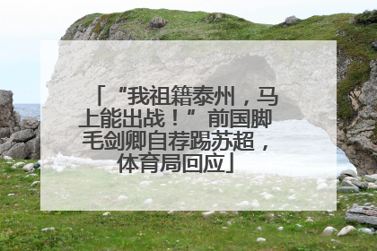 “我祖籍泰州，马上能出战！”前国脚毛剑卿自荐踢苏超，体育局回应