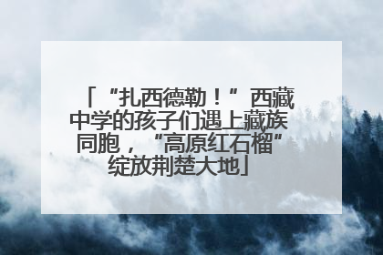 “扎西德勒！”西藏中学的孩子们遇上藏族同胞，“高原红石榴”绽放荆楚大地