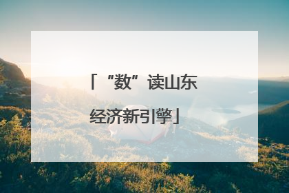 “数”读山东经济新引擎