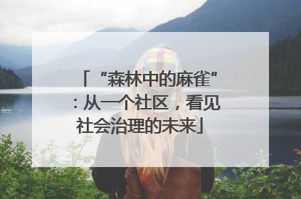 “森林中的麻雀”：从一个社区，看见社会治理的未来