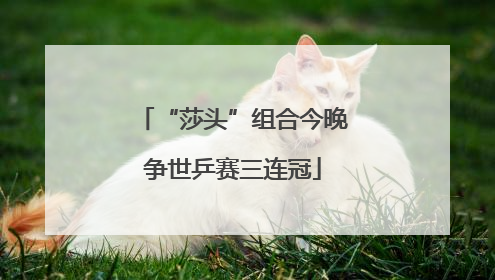 “莎头”组合今晚争世乒赛三连冠