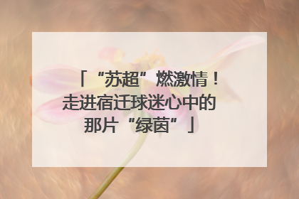 “苏超”燃激情！走进宿迁球迷心中的那片“绿茵”