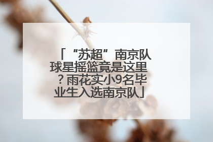 “苏超”南京队球星摇篮竟是这里？雨花实小9名毕业生入选南京队