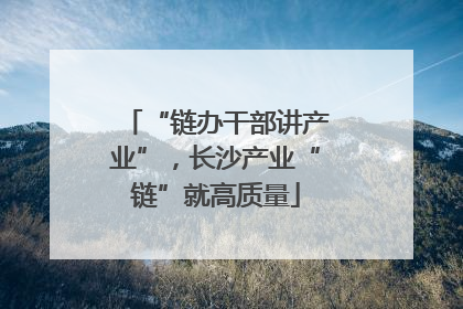 “链办干部讲产业”，长沙产业“链”就高质量