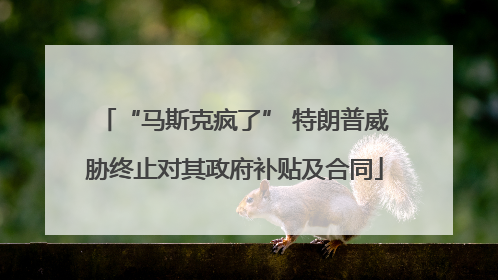 “马斯克疯了” 特朗普威胁终止对其政府补贴及合同