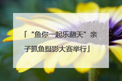 “鱼你一起乐翻天”亲子抓鱼摄影大赛举行