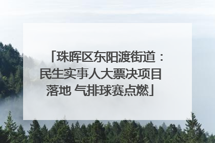 珠晖区东阳渡街道：民生实事人大票决项目落地 气排球赛点燃