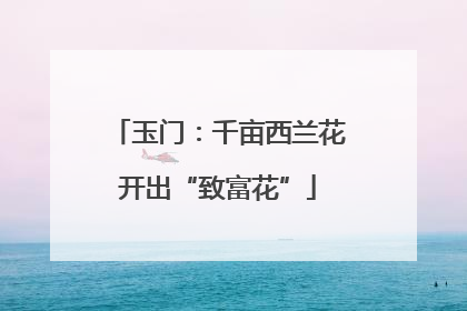 玉门：千亩西兰花开出“致富花”