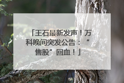 王石最新发声！万科晚间突发公告：“售股”回血！